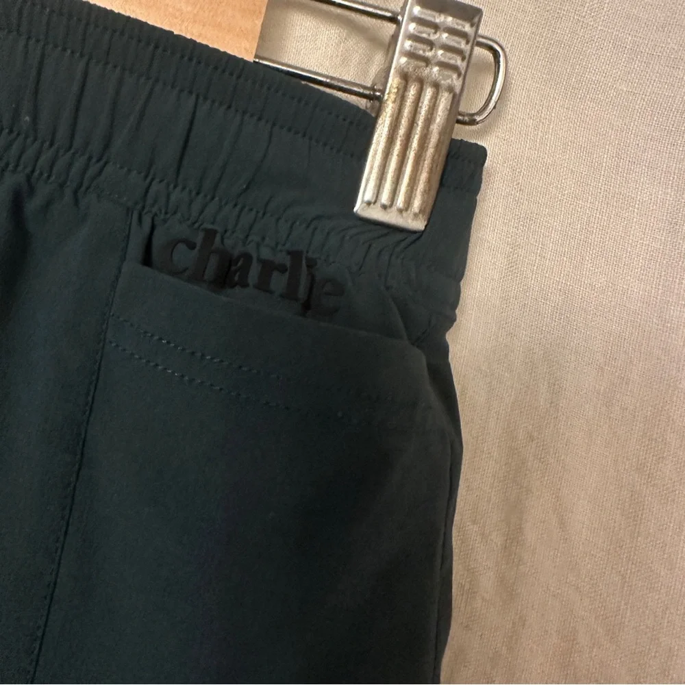 Charlie Swim Shorts